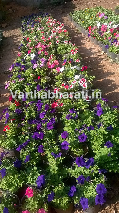 ಉಡುಪಿ: ನಾಳೆಯಿಂದ ಫಲಫುಷ್ಪ ಪ್ರದರ್ಶನ